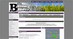 Desktop Screenshot of burlingtonok.com